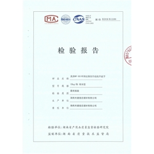 檢測報告