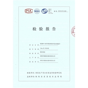 檢測報告