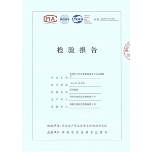 檢測報告